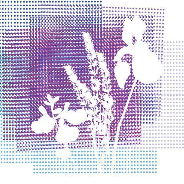 Collection de plantes de terrain sec