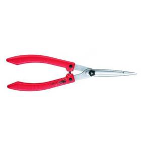 Cisaille de précision ARS K-800 pour la taille de finitions sur un buis en spirale.