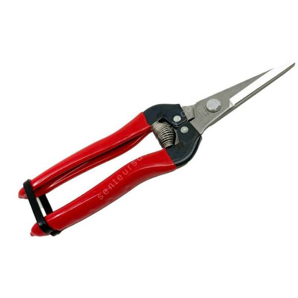 épinette-jardin-ars-300l-dx-inox-19cm-coupe-precision