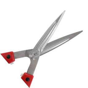 Cisaille de précision ARS K-800 pour la taille de finitions sur un buis en spirale.