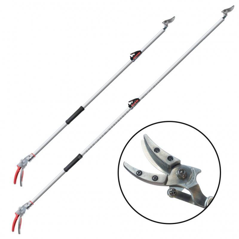 Sécateur télescopique japonais ARS 160 ZF–3.0-5 pour la récolte de fruits