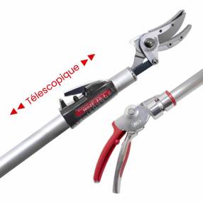 Sécateur télescopique japonais ARS 160 ZF–3.0-5 pour la récolte de fruits