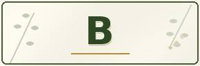 Catalogue - B