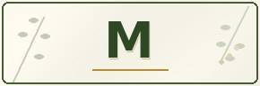 Catalogue - M