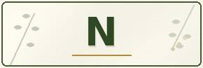 Catalogue - N