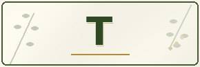Catalogue - T