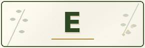 Catalogue - E