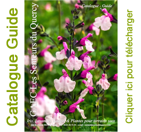 Catalogue 2016 - Les Senteurs du Quercy