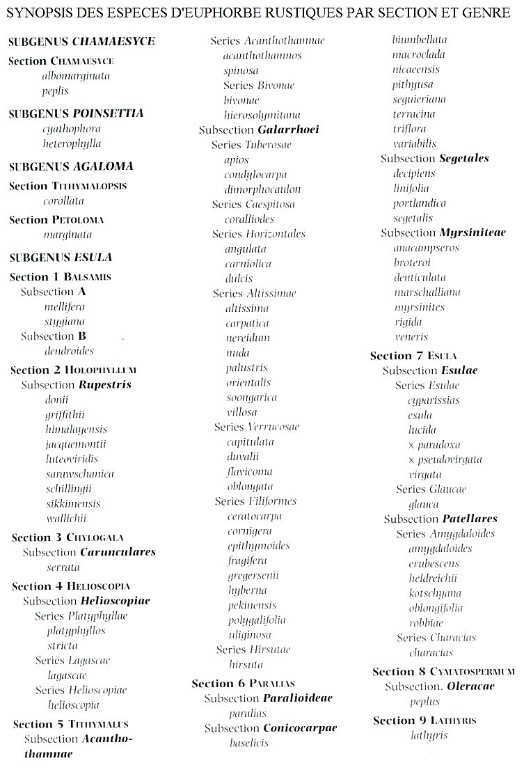 Classification différentes espèces des Euphorbes